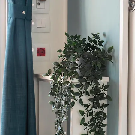 ホリデーパーク Domvs Glamp バヴェーノ