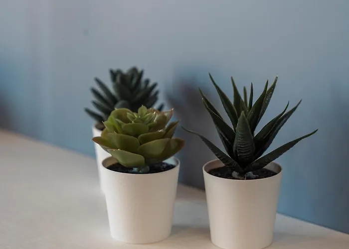 Domvs Glamp ホリデーパーク